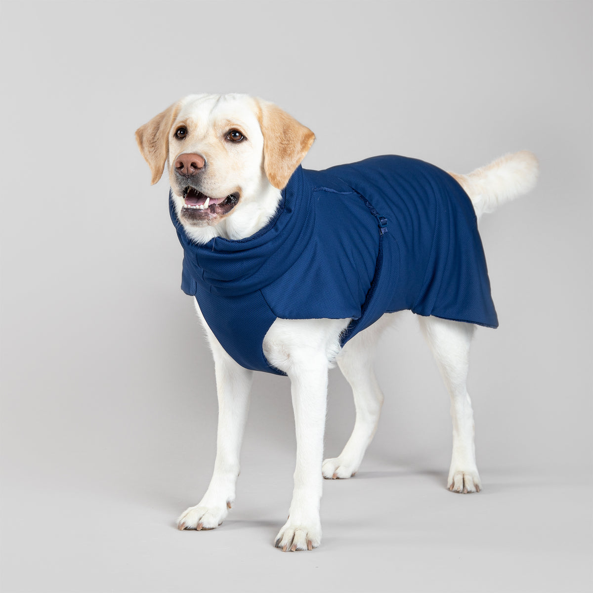 Paikka Drying Coat 2go Navy For Dogs – Paikka B2b